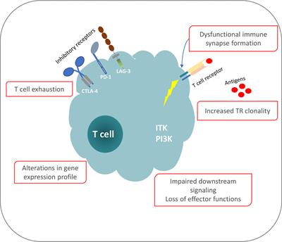 T Cells in Chronic Lymphocytic Leukemia: A Two-Edged Sword